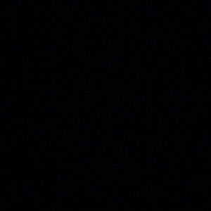 Meet your Posher, Emilyemily